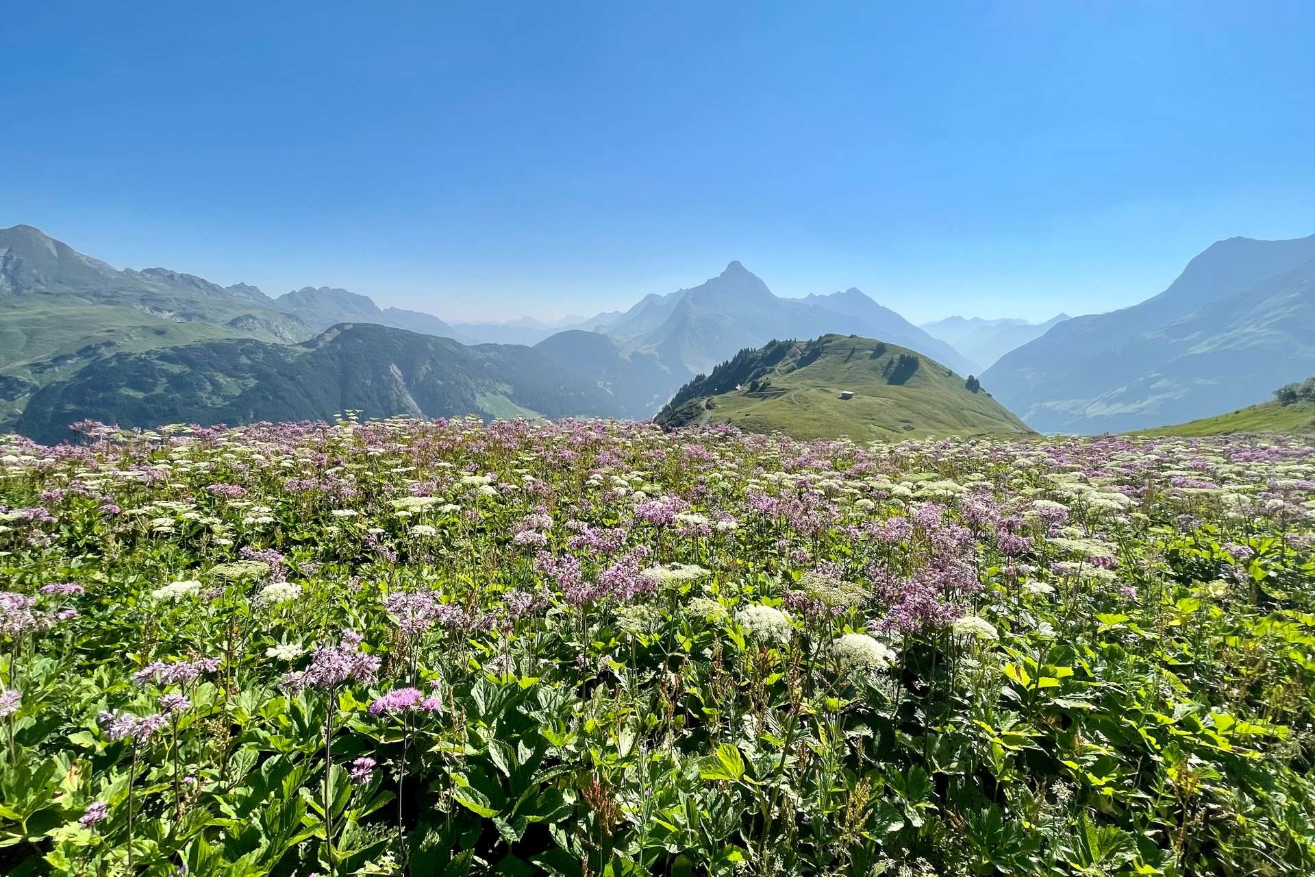 Arlberg im Sommer - Wandern - Mountainbiken