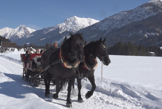 Pferdeschlittenfahrt am Arlberg in Österreich